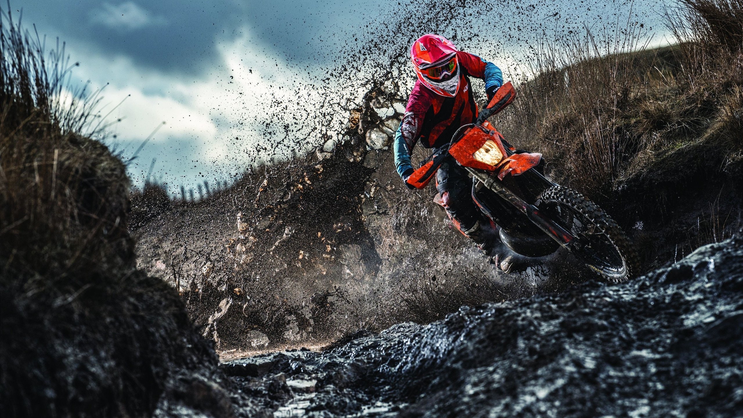 步行者大胜勇士，抢七大战中哈利伯顿锁死对手，哈利 伯顿