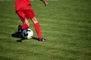 九游体育入口-意甲裁判语义分析系统在比赛判罚中的应用研究，意甲裁判名单